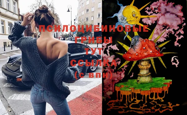спайс Белокуриха
