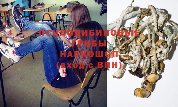 спайс Белокуриха