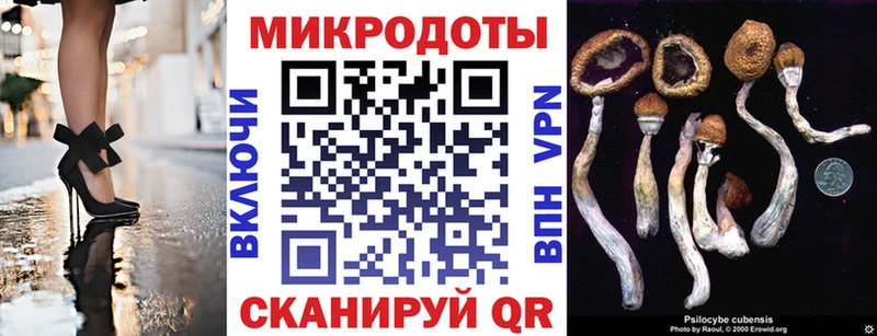где найти наркотики  Котельники  Галлюциногенные грибы мухоморы 